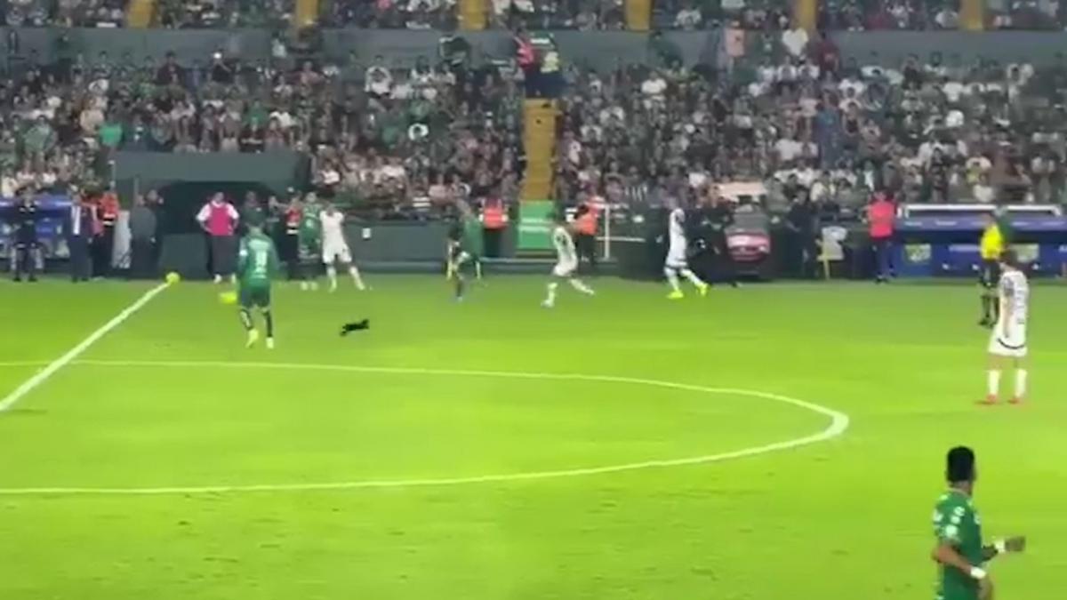 A black cat is crossed and they expel James Rodríguez and Sergio Ramos is injured